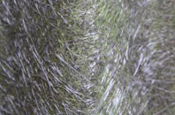 Lower Clicker fibreglass roof work